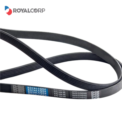 Elastic Ribbed Belts Elastic Ribbed Belts